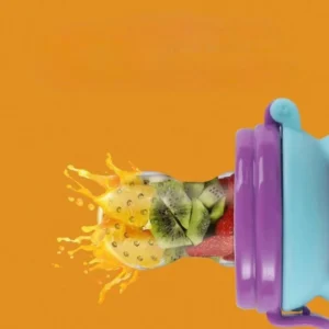 Silicone baby fruit feeder pacifier with bear ear handle for infants